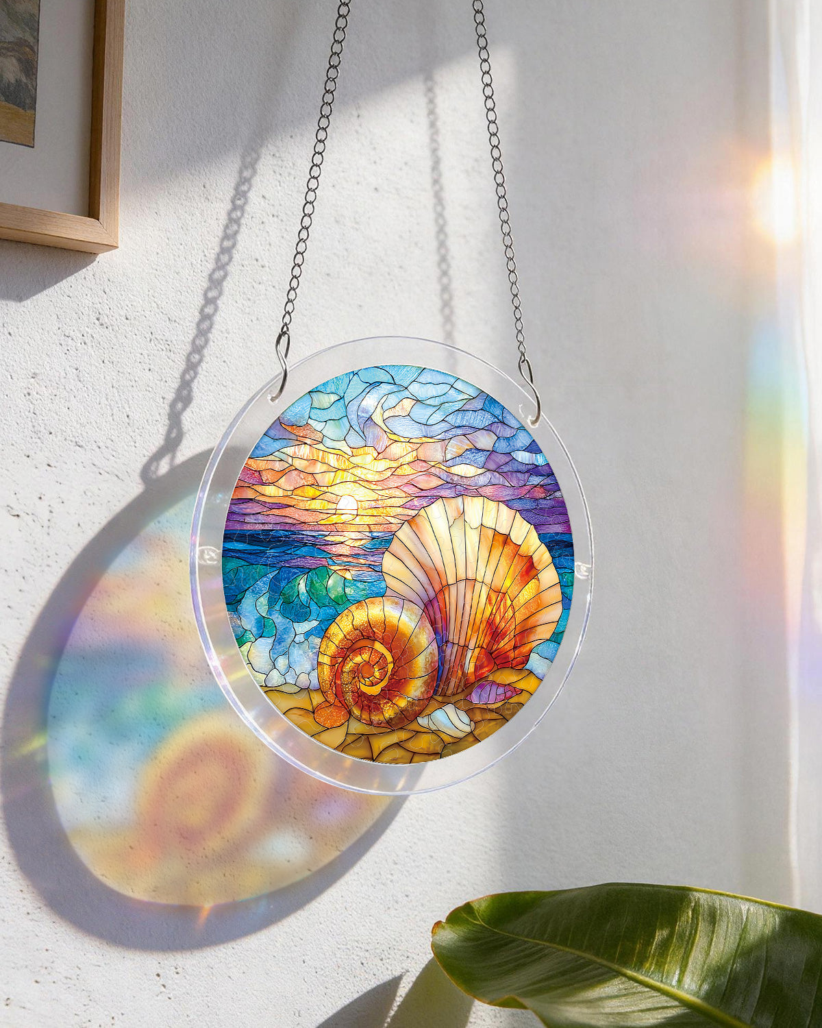 Ozean-Echo-Muschel-Lichtfang ¨C Acryl-Fensterbild