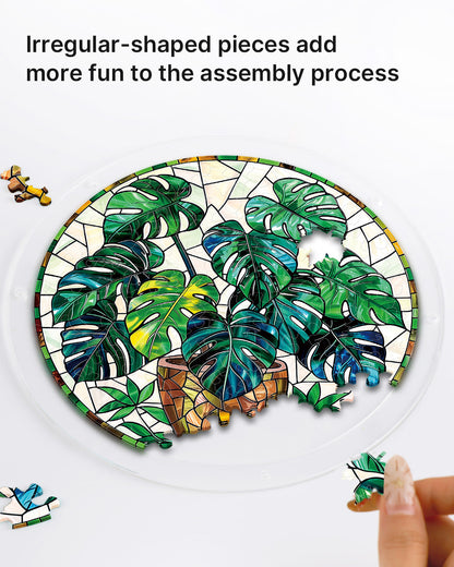 Monstera Gr¨¹npflanzen Lichtf?nger ¨C Acrylfensterkunst