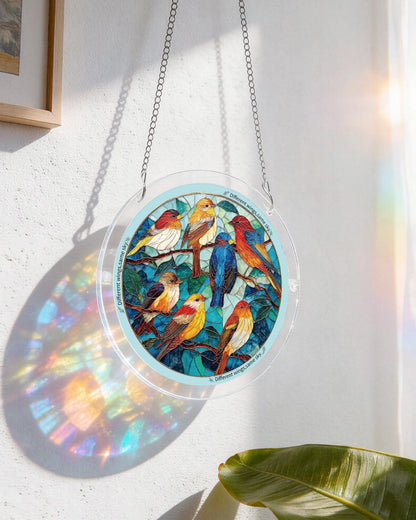 Leuchtender Feder-Himmel-Licht-Sonnenf?nger-Acrylfensterkunst